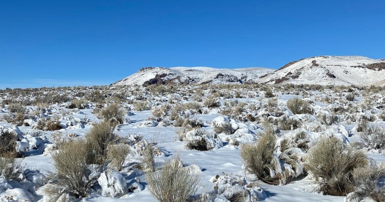 Activists have cut ties with two men because they are transphobic