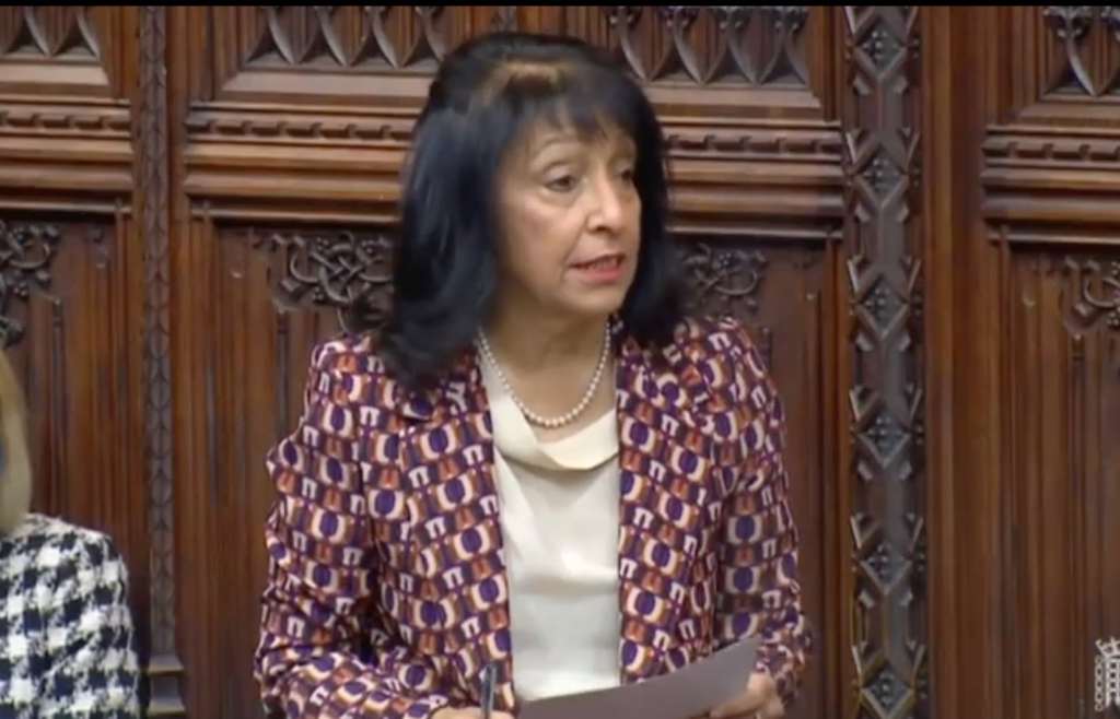 Kishwer Falkner, chair of the EHRC, speaking in the House of Lords.