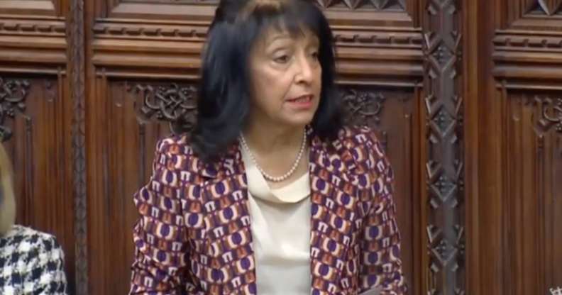 Kishwer Falkner, chair of the EHRC, speaking in the House of Lords.