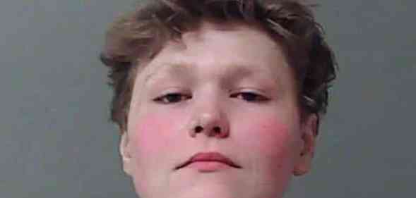 Illinois teen Ethan Dickerson