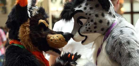 Two furries greeting each other by touching noses
