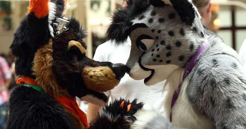 Two furries greeting each other by touching noses