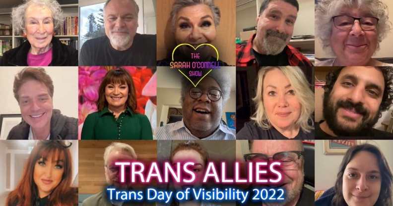 Trans Allies YouTube video by Sarah O'Connell