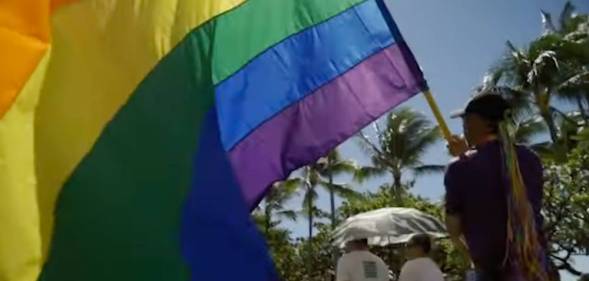 A person holds an LGBT+ flag as they participate in a march celebrating Honolulu Pride Month in Hawaii