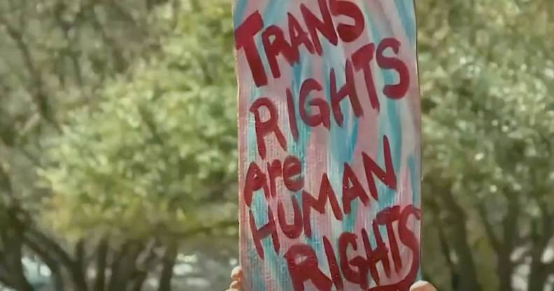 A person holds a sign that reads "Trans rights are human rights"