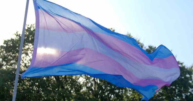 A trans flag is pictured against the sun and trees in the background.