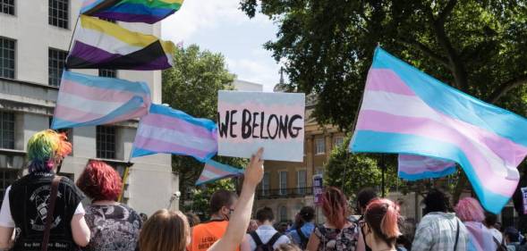 several people hold up trans Pride flags, a non-binary flag and a progressive Pride flag with one person holding a sign that reads "we belong"