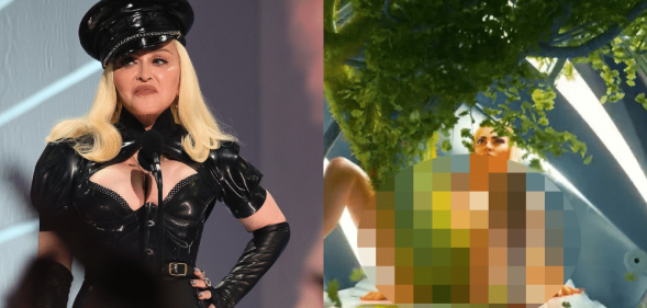 Madonna wearing a black cap and black corset / An avatar of Madonna giving birth to a tree