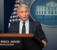 Anthony Fauci stands at a podium in the White House with the White House logo and an American flag in the background. Fauci is wearing a white shirt, dark tie and dark suit jacket as he talks to people off camera