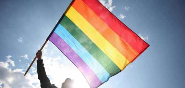 A person waving a Pride flag.