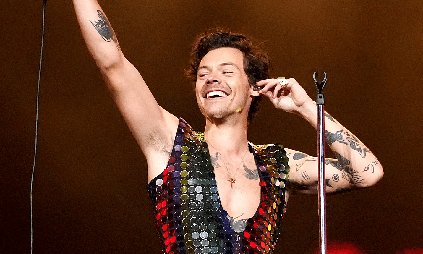 Harry Styles Helps Fan Come Out As Gay During Love On Tour Wembley