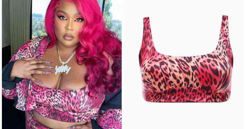 Lizzo is 'giving' as she poses in a pink leopard print set from Yitty