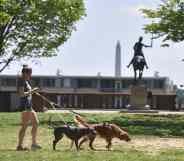 Man posing as police officer allegedly attacked five gay men at Washington DC park