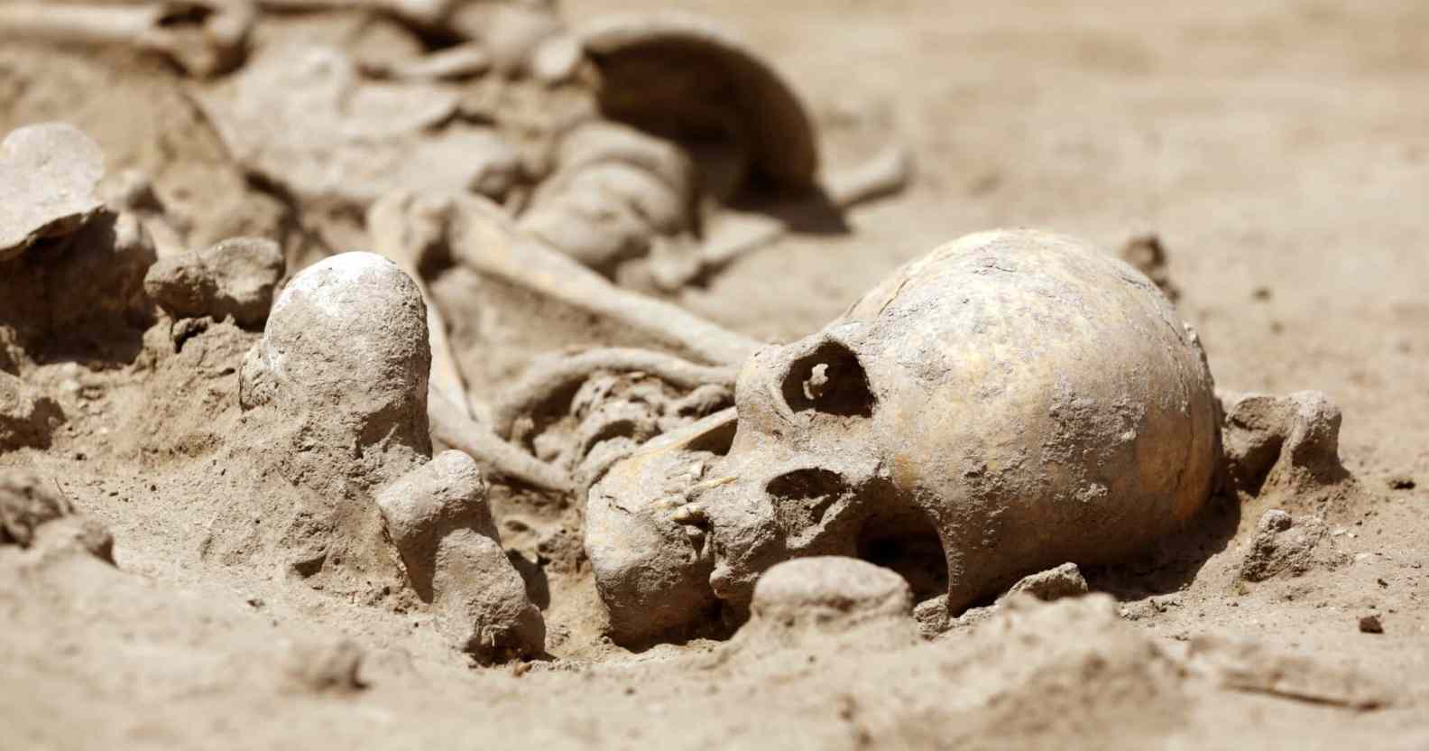 Archaeologists urged not to assume gender of ancient human remains