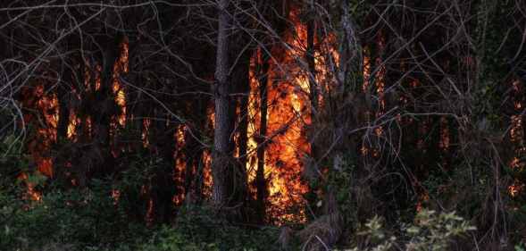 This picture taken on July 17, 2022, shows a forest fire near Louchats in Gironde, southwestern France.