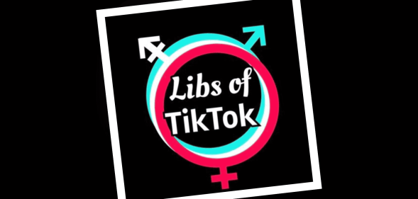 The logo of the controversial media pages Libs of TikTok.