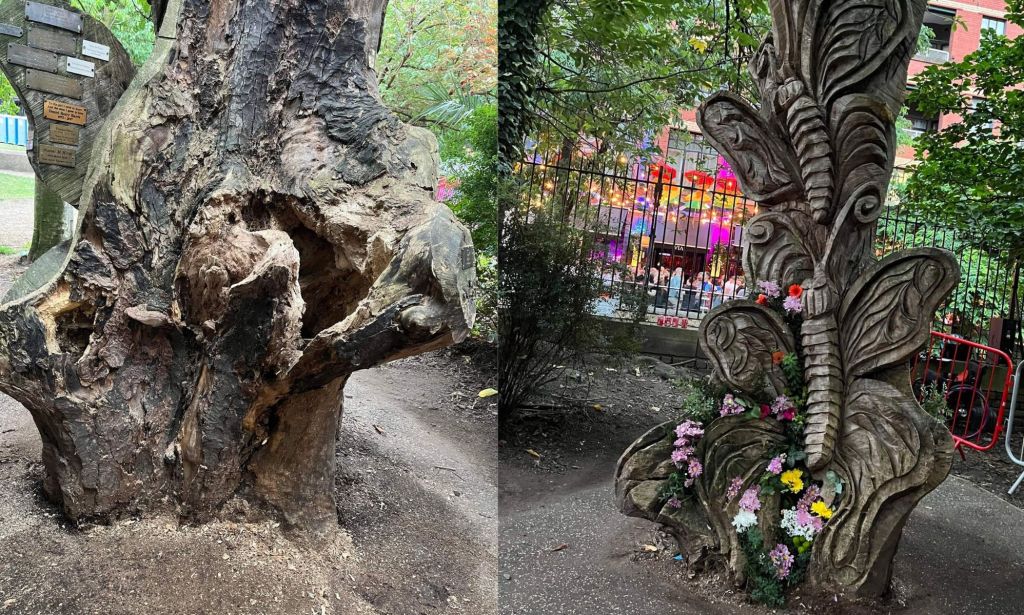 National Trans Memorial tree burned Manchester before and after