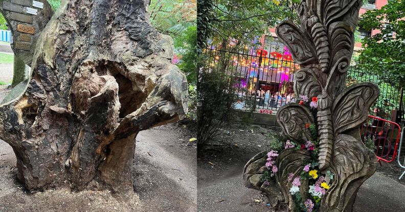 National Trans Memorial tree burned Manchester before and after