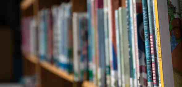 A row of books on a shelf