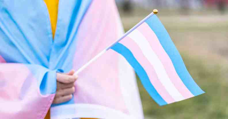 A trans person holding a flag with the trans flag draped over them.