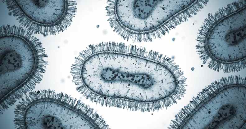A microscopic rendering of the monkeypox virus