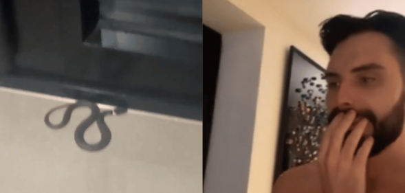 A split screen of Rylan and the evil snake