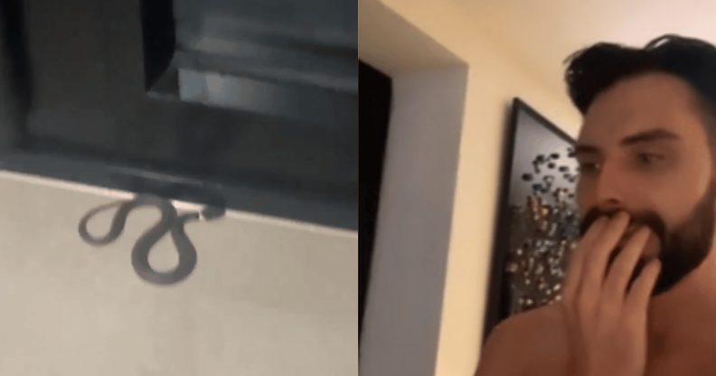 A split screen of Rylan and the evil snake