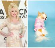 Dolly Parton has released a pet apparel and accessories line named Doggy Parton.
