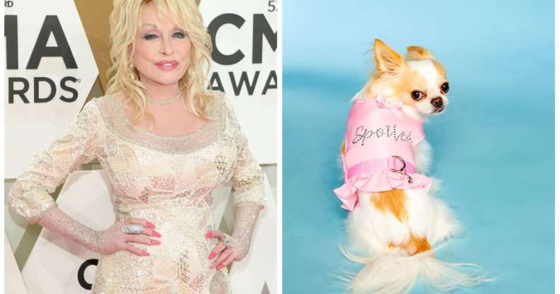 Dolly Parton has released a pet apparel and accessories line named Doggy Parton.