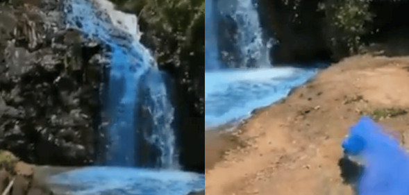 Brazil reaches peak gender reveal as dyed waterfall investigated for 'possible environmental damage'