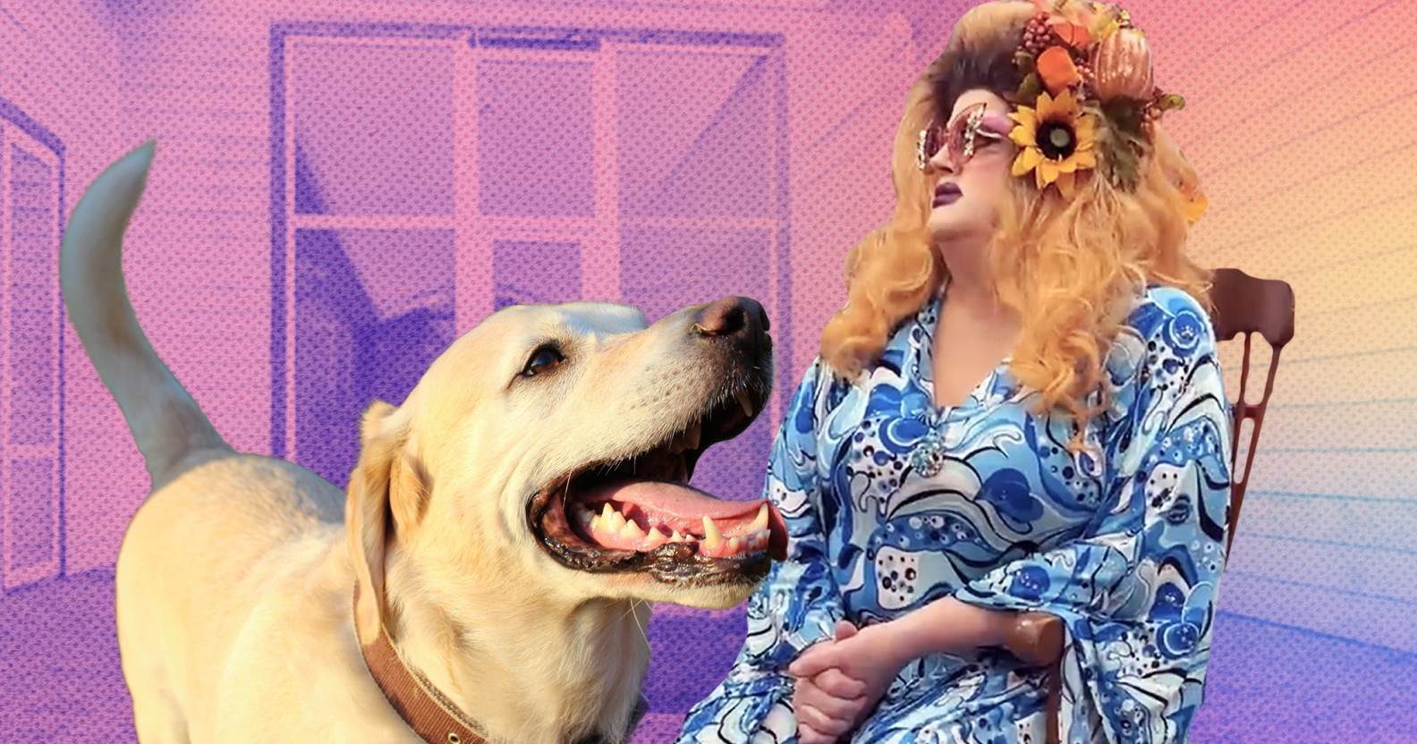 Photo of drag queen Miss Majesty Divine with a yellow Labrador