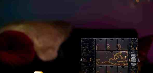 Lovehoney has launched a sale on its advent calendar ahead of Black Friday.