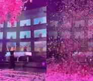A split-screenshot from Twitter shows singer Adele wearing a black dress disappearing under a cloud of pink confetti.