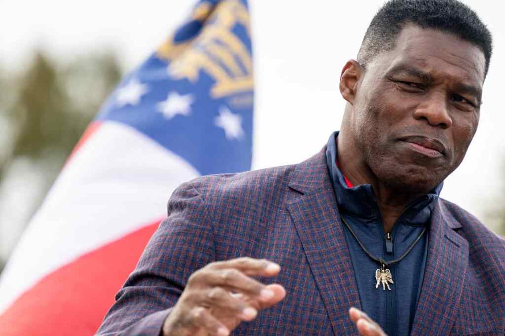Republican US Senate candidate Herschel Walker speaks to supporters at a campaign rally on in Georgia