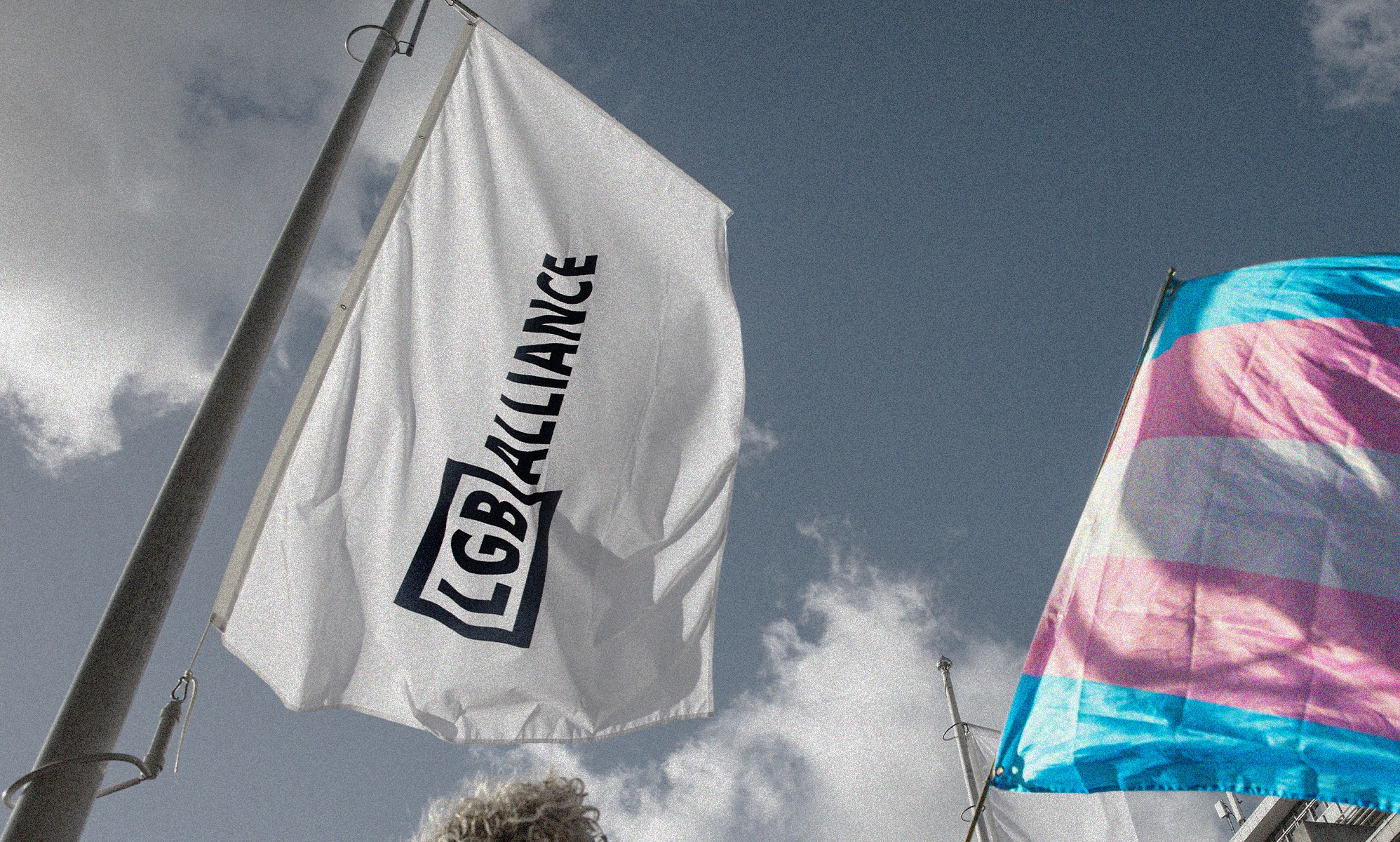 LGB Alliance Tribunal case against antitrans group resumes