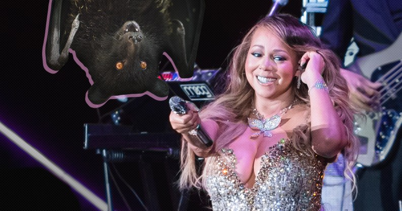 A graphic composite showing a bat hanging upside down and Mariah Carey in a silver sequin dress holding her microphone out to the bat.