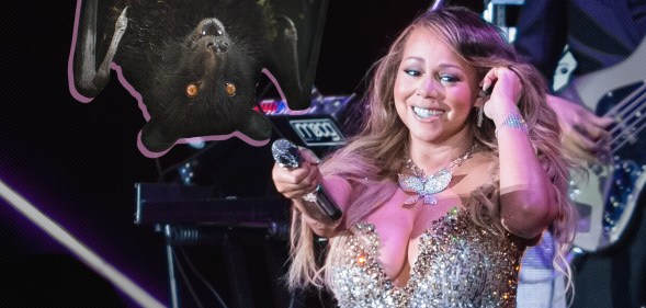 A graphic composite showing a bat hanging upside down and Mariah Carey in a silver sequin dress holding her microphone out to the bat.
