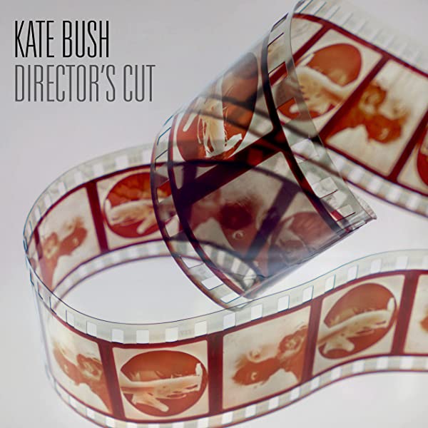 The album artwork for Director's Cut by Kate Bush.