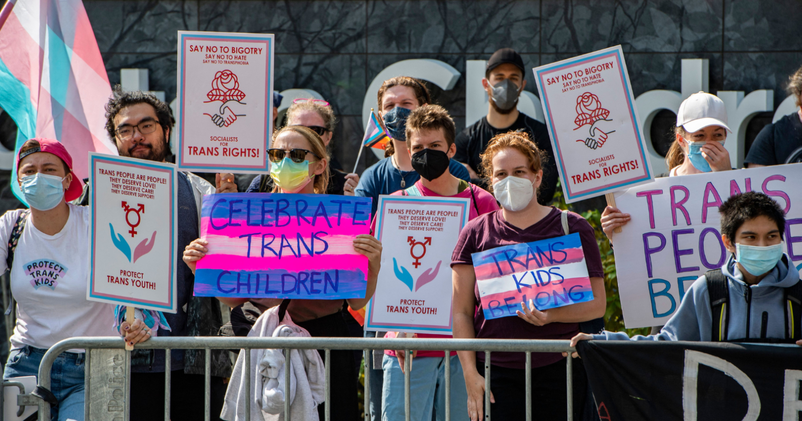 Members of a pro-LGBTQ+ protest wave trans-positive signs, as well as the pink, blue, and white trans flag.