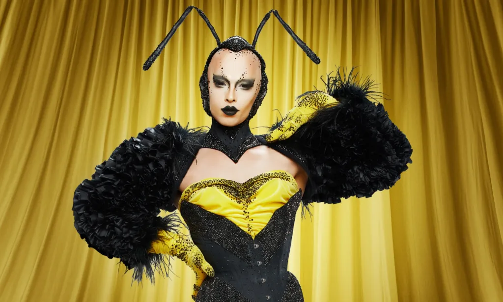 A promo photo of Cheddar Gorgeous wearing her Queen Bee outfit and posing in front of a gold curtain from Drag Race UK.