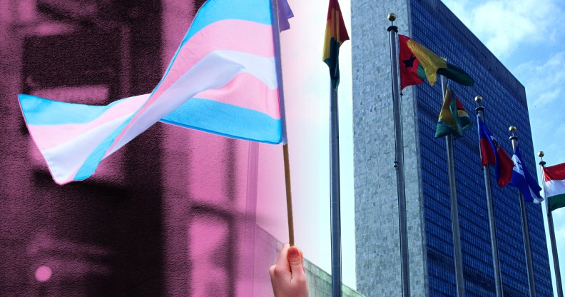 Trans flags in Scotland