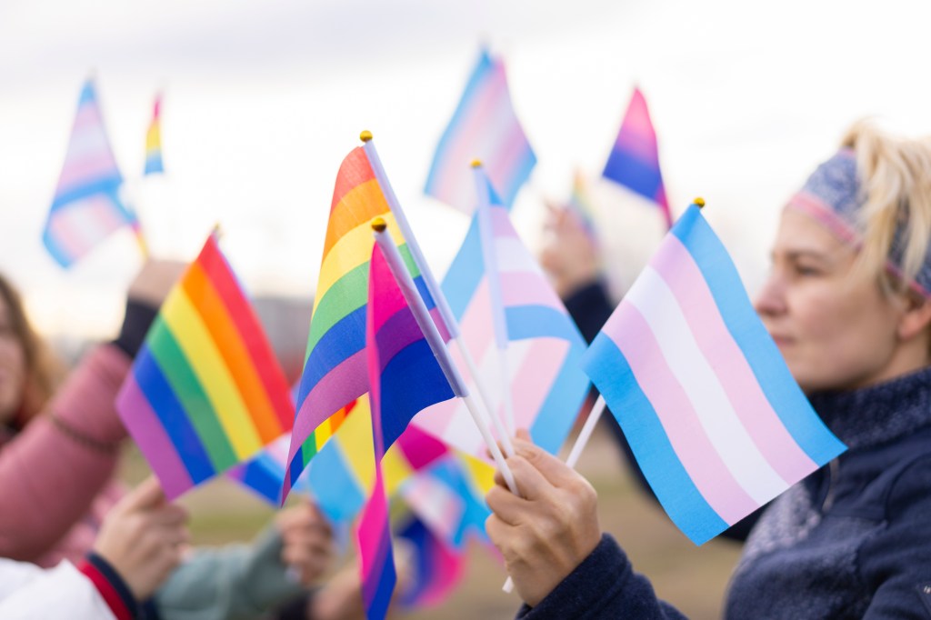 Rainbow and trans flags