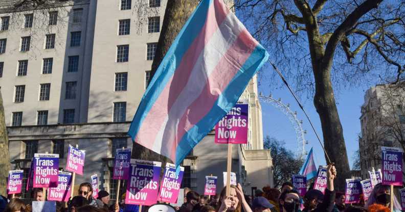 Trans rights protest with trans flag