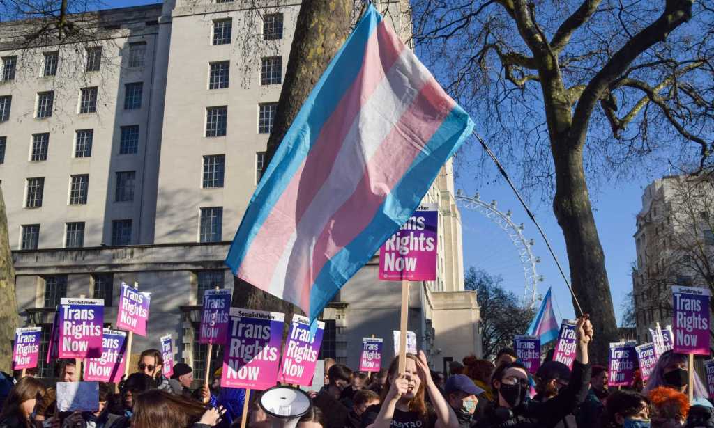 Trans rights protest with trans flag