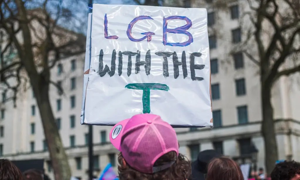 A photo shows a trans activist wearing a pink cap holding a placard that says: "LGB with the T"