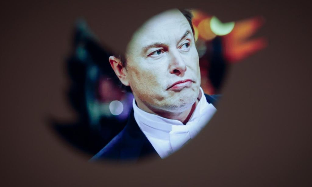 An image of Elon Musk inside the Twitter bird logo