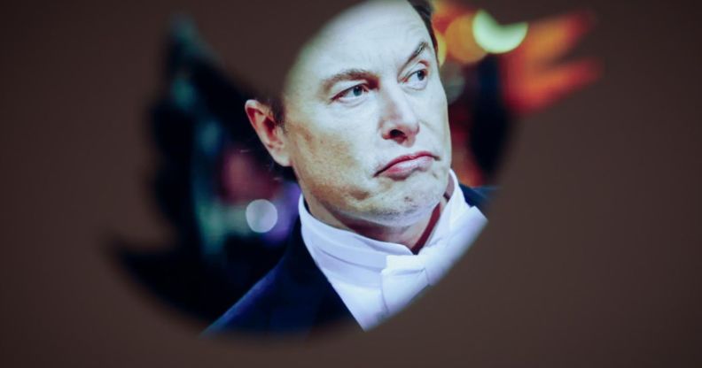 An image of Elon Musk inside the Twitter bird logo