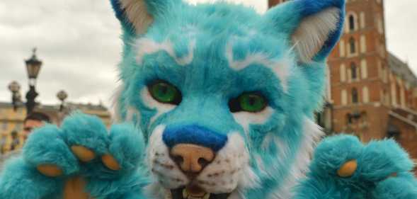 A blue cat fursona outfit