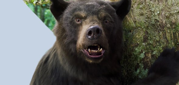 Allan Henry is the human behind the Cocaine Bear. (Universal Pictures)