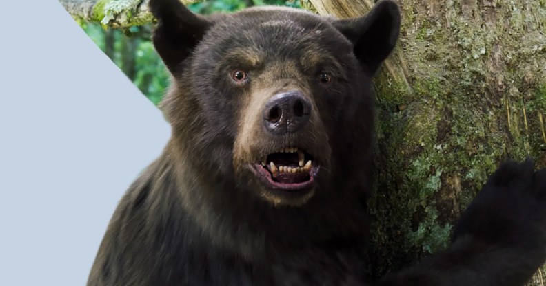 Allan Henry is the human behind the Cocaine Bear. (Universal Pictures)